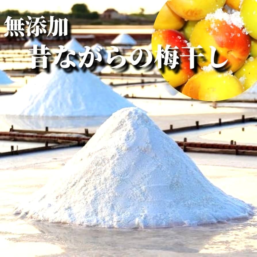 【今だけキャンペーン❗】低農薬栽訳あり★完熟白干し梅 10kg入り 訳あり 白干梅 梅干 10kg 大粒3L （塩分22％） | 和歌山の農家
