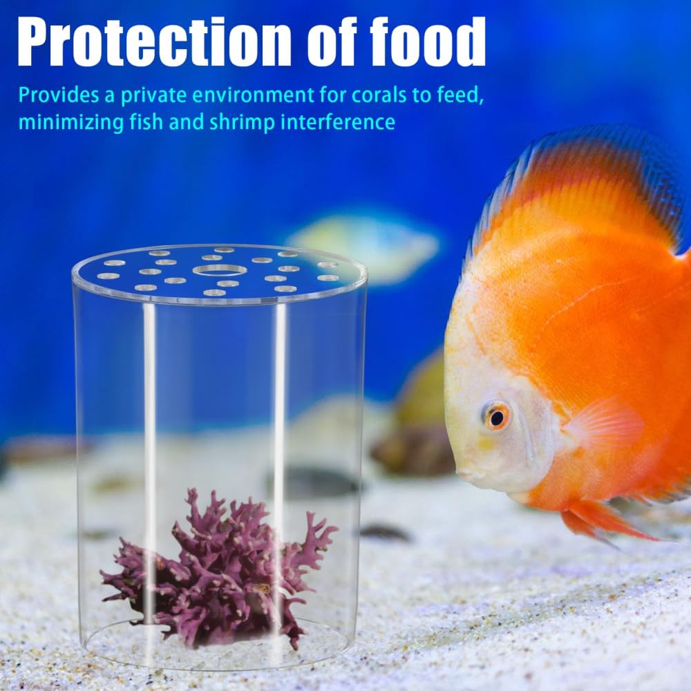 Coral Feeding Protection Cover, Acrylic Coral Reef Feeder Cover Transparent Coral Breeding Protective Cover for Aquarium Fish Tank