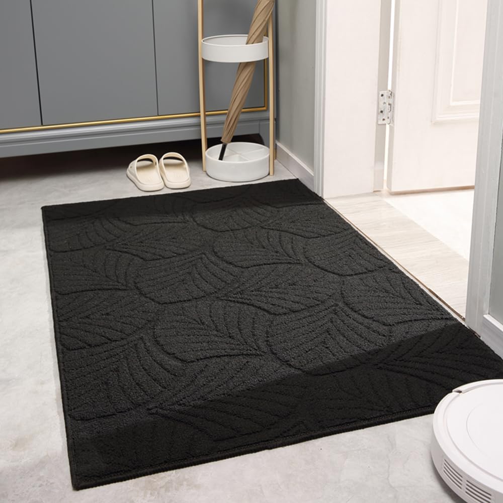 Paillasson antidérapant lavable et tapis entrée intérieur de maison