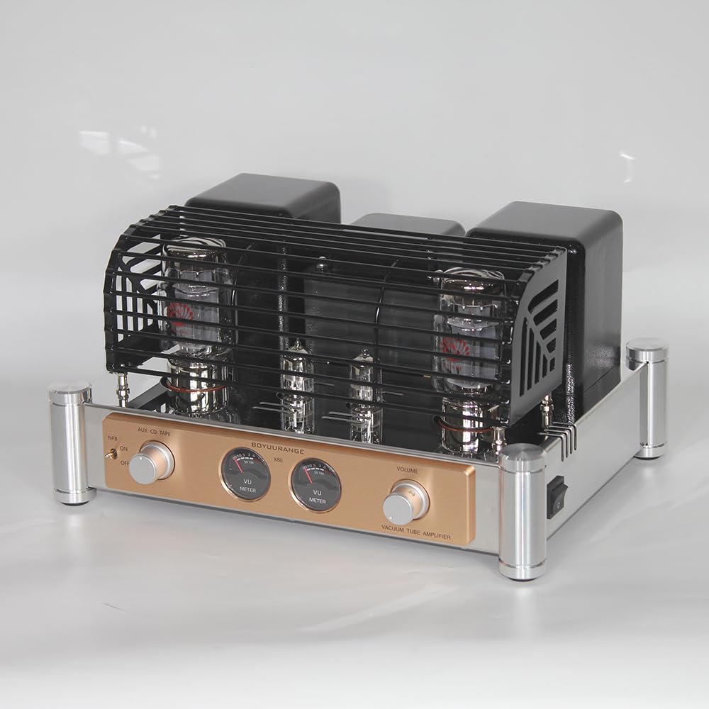 Amazon.com: Boyuurange (Reisong) X80 KT88 x2 Tube Amplifier Single