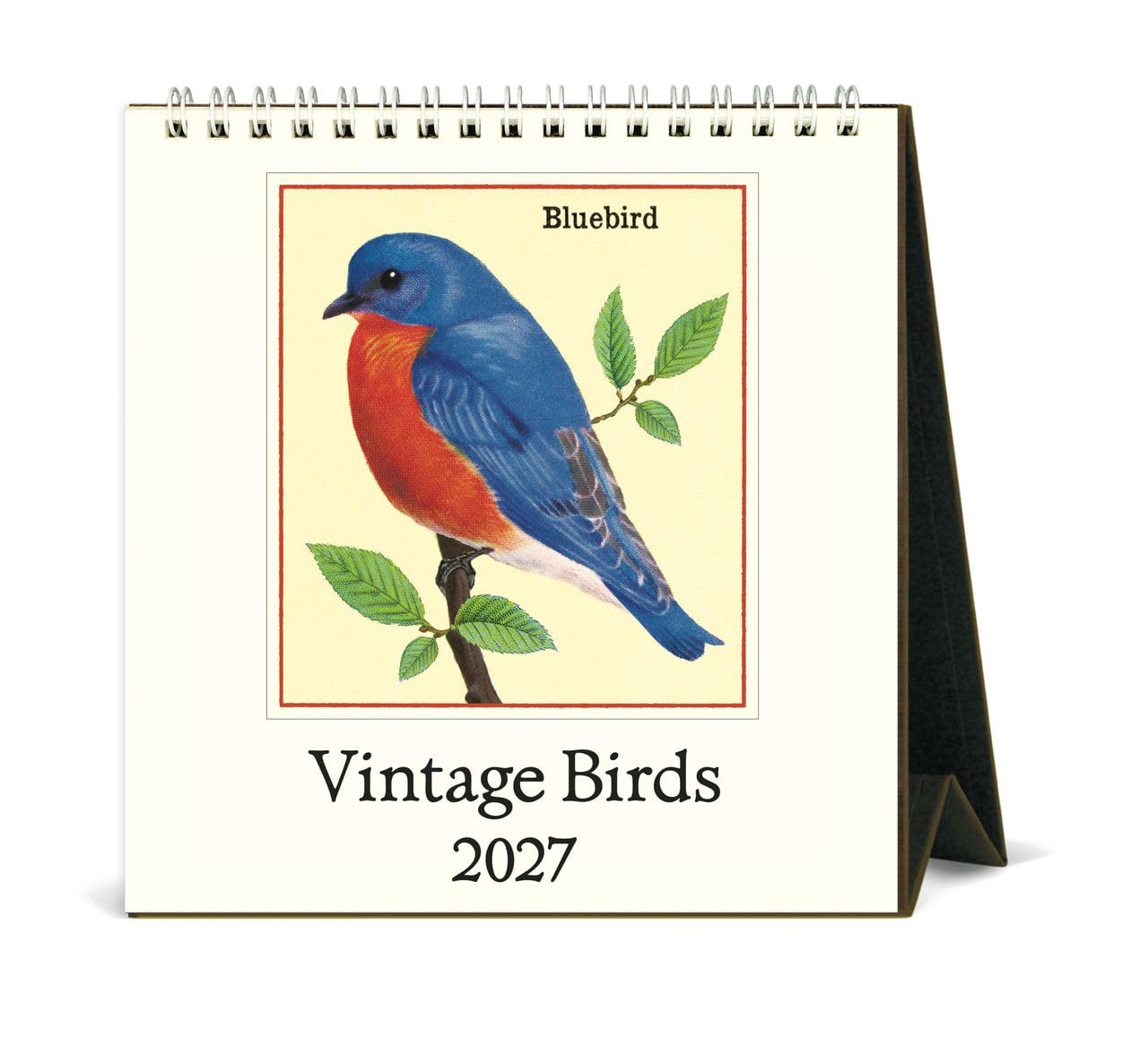 Cavallini 2027 Birds Easel Desk Calendar, 6x6.5 Inches, 12 Month