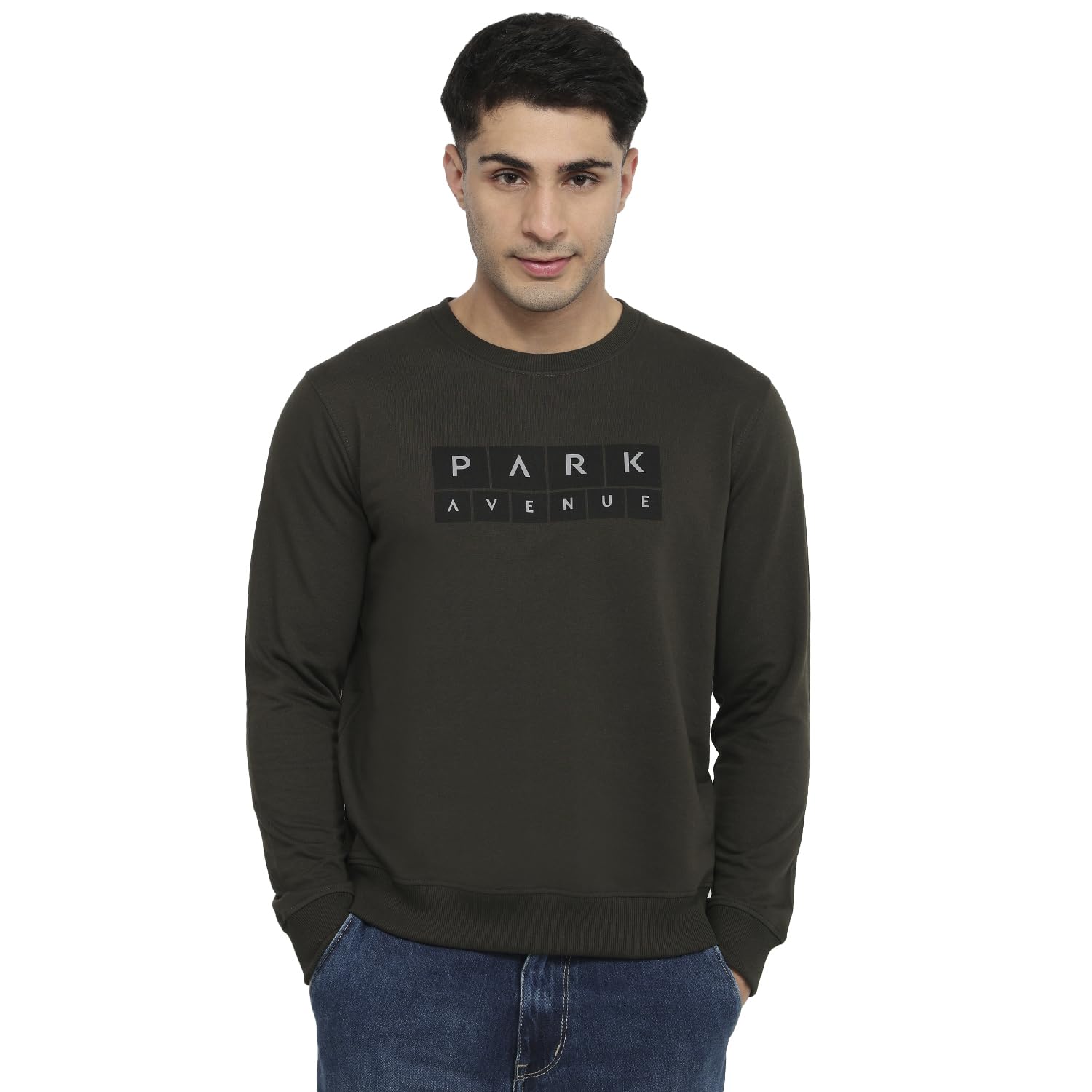park avenue Men Slim Fit Print Pattern Cotton Polyester Blend Round Neck Full Sleeve Casual Sweatshirt-picture-15