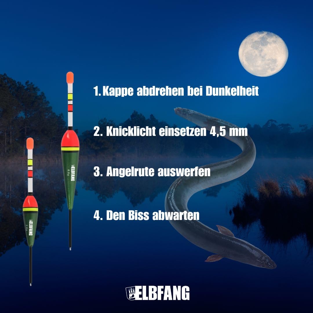 Posen-Set, 10 Stück, Grössen wählbar, 3g/4g/5g/6g/8g, Knicklichtposen, Schwimmer für Angeln, Angel-Posen, Pose zum Angeln