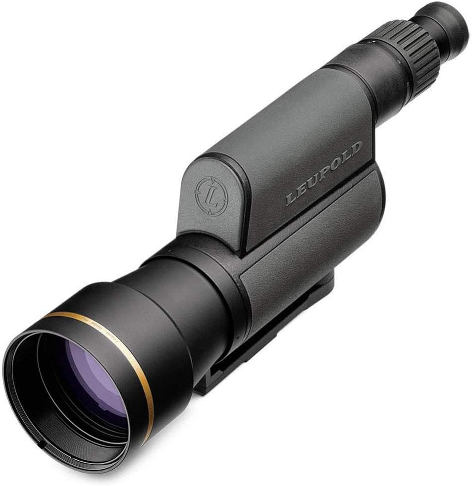 Leupold GR 20-60x80mm Gold Ring Spotting Scope, No Reticle