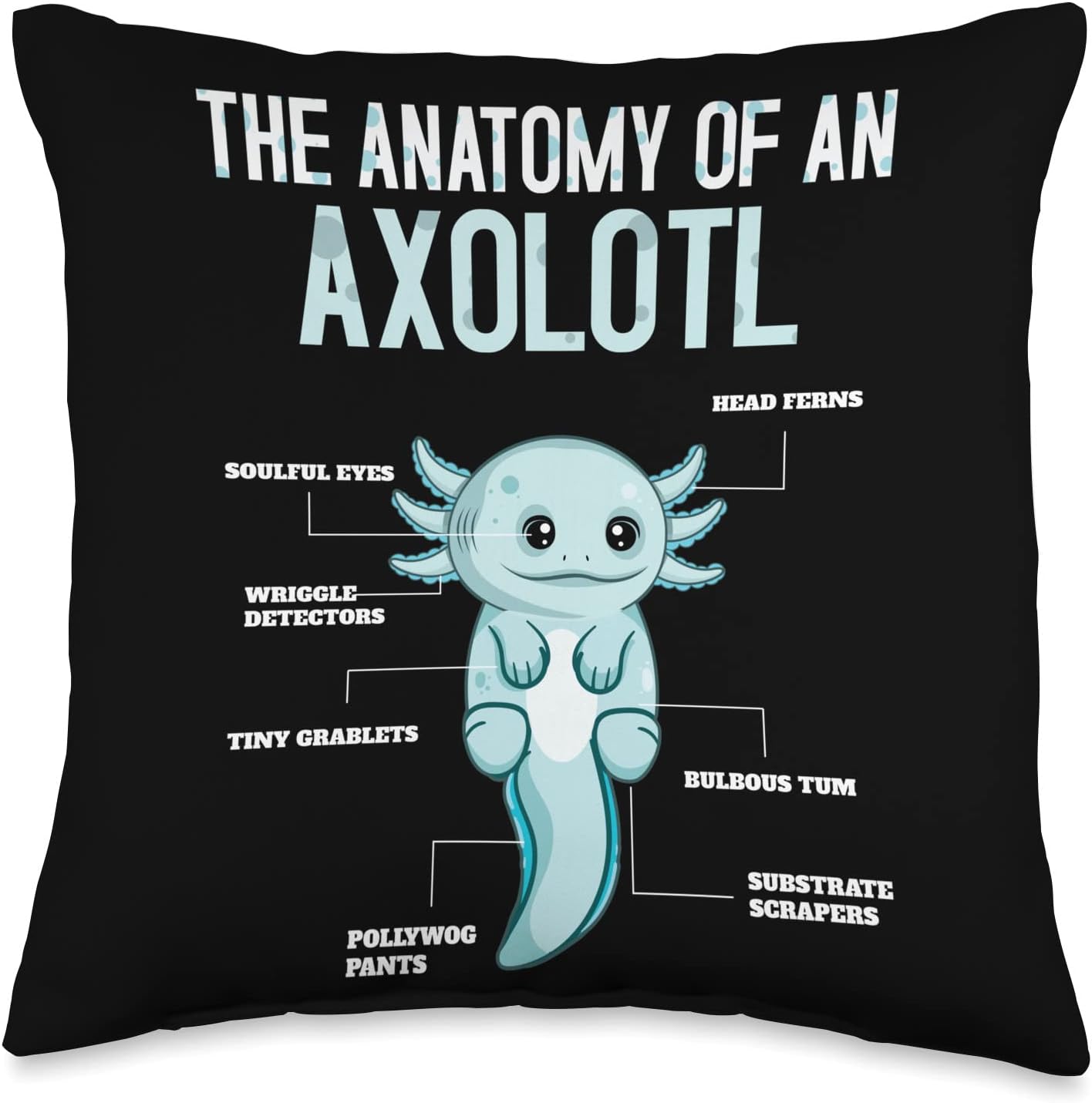 Definition Anatomy Of Animal Amphibian Sea Axolotl Kawaii