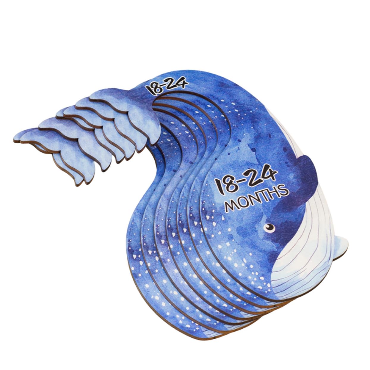 LIOOBO 7Pcs Hanger Dividers Closet Organizers for Clothes Adorable and Closet Dividers for Newborn Attire for Girl Nursery Organization