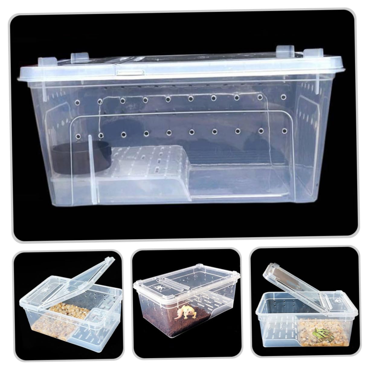 FRCOLOR Acquario con Piattaforma in Plastica per Rettili e Tartarughe e Inclinazione Adatta Vasca con Area di Riposo e Alimentazione, Facile Osservazione per Habitat Anfibi e Rettili