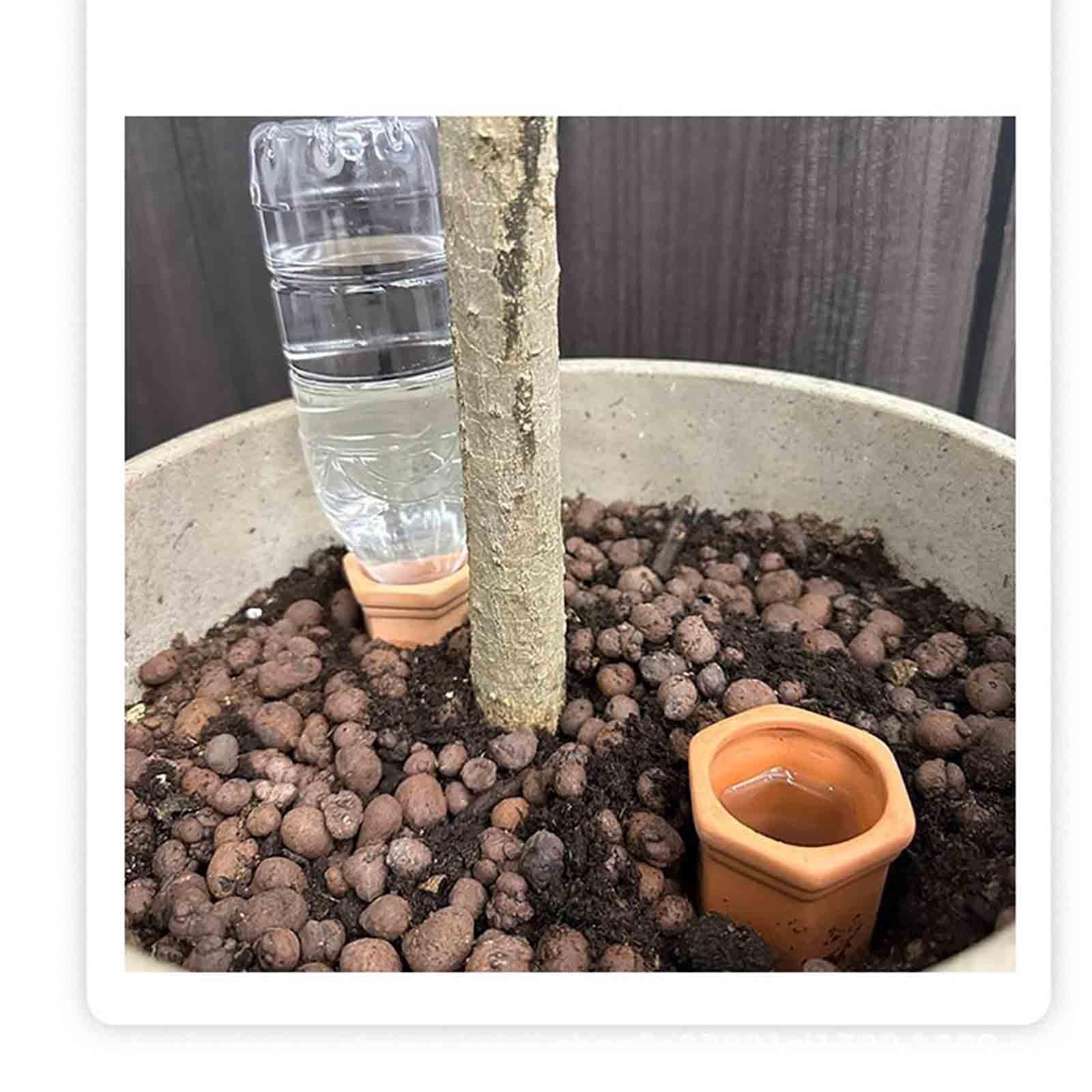 Tonkegel Bewässerung Passend Für Weinflaschen Bewässerungskugeln Gemüse Gartenarbeit Langsame Freisetzung Wasserspender Pflanzen Automatisch Pflege(10pcs,Gelb)