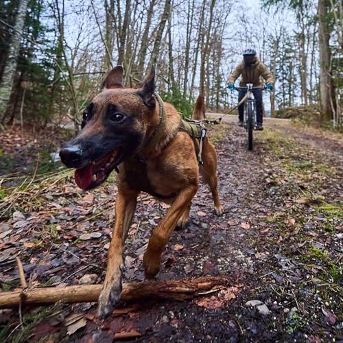 Non-Stop Dogwear Freemotion Hundegeschirr, Arbeitshund, Olivgrün, Größe 8