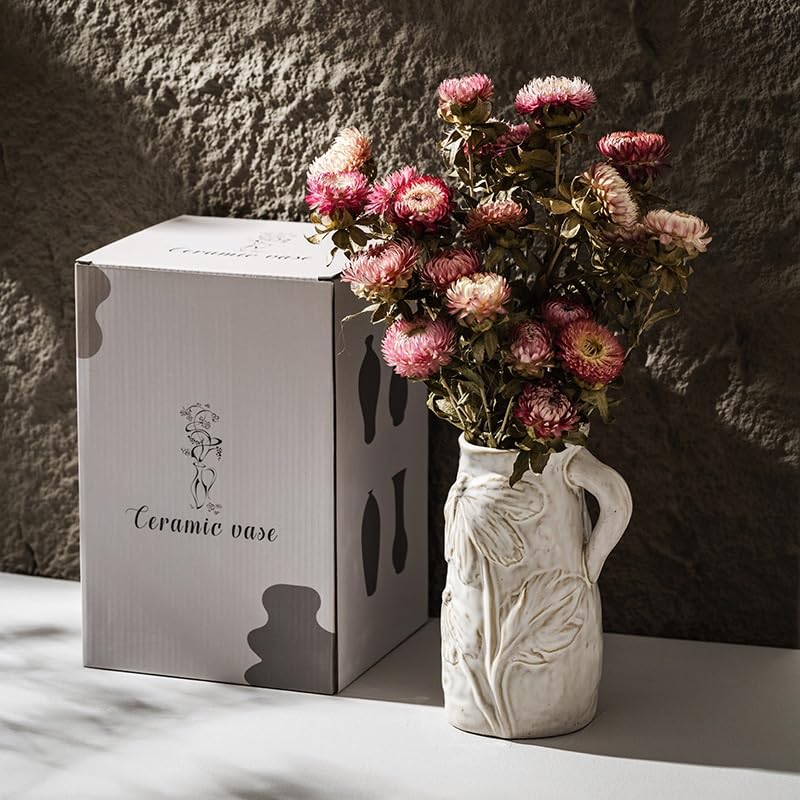 Vaso in Ceramica con Ornamenti Creativi, Idroponico, Confezione Regalo retrò(M)