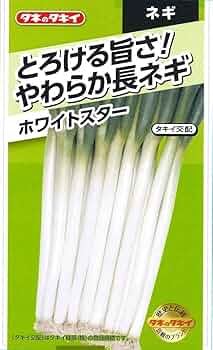 長ネギ chikyubatake_fukanegi