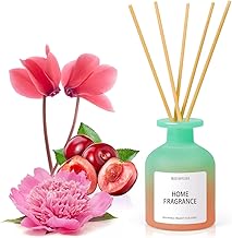 Room Fragrance Diffuser with Reeds, 100 ml Room Diffuser with 6 Sticks, Scented Diffuser with Summer Breeze, Reed Diffuser for Room, Bathroom, Office, Wardrobe