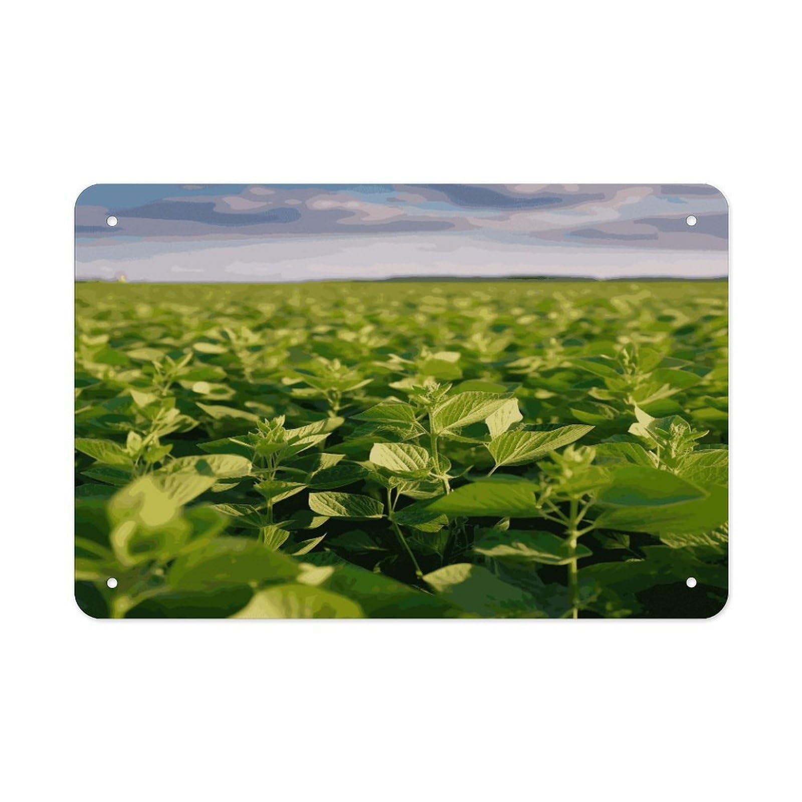 LDGSUPH Soybean Field Metal Tin Sign Wall Art Prints Folded Edge Iron Sheet Painting with Holes for Wall Prints Decorative Picture Metal Signboard Decor Painting Wall Decor
