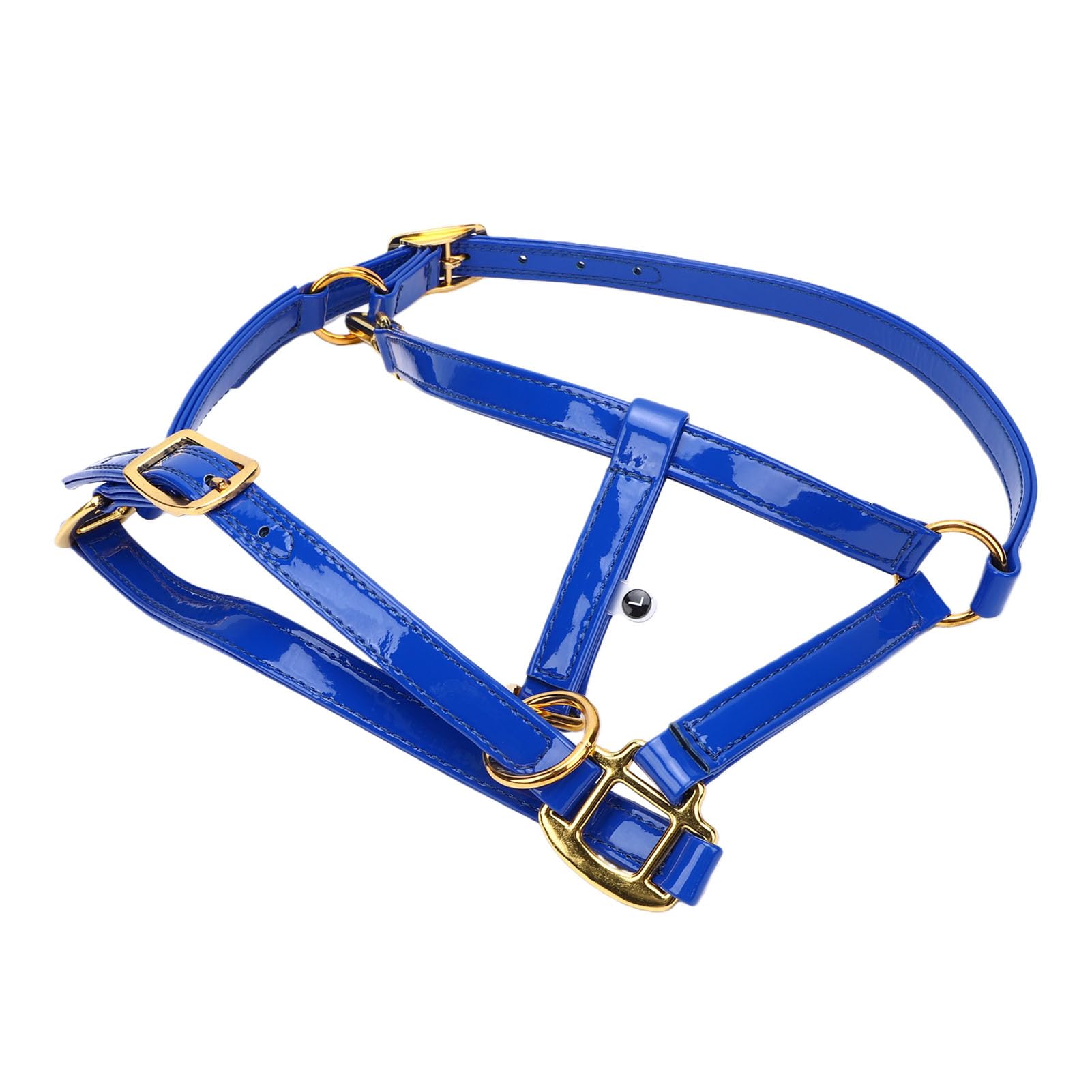 20mm Cavezza per Cavallo, Pelle Smaltata a Doppio Strato, | Finimenti per cavallo impermeabili, testiera facile da pulire, hardware placcato in oro per passeggiate su pista, cavezza