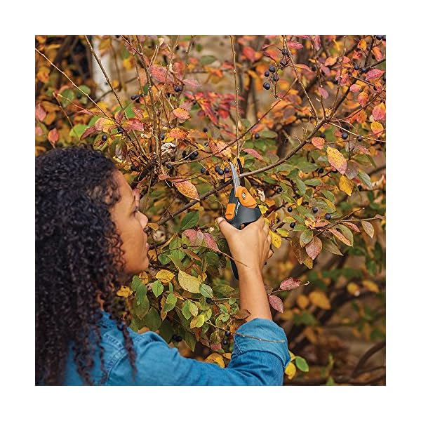 Fiskars 391041-1001 046561291044 PowerGear2 Pruner, Metal - Image 5
