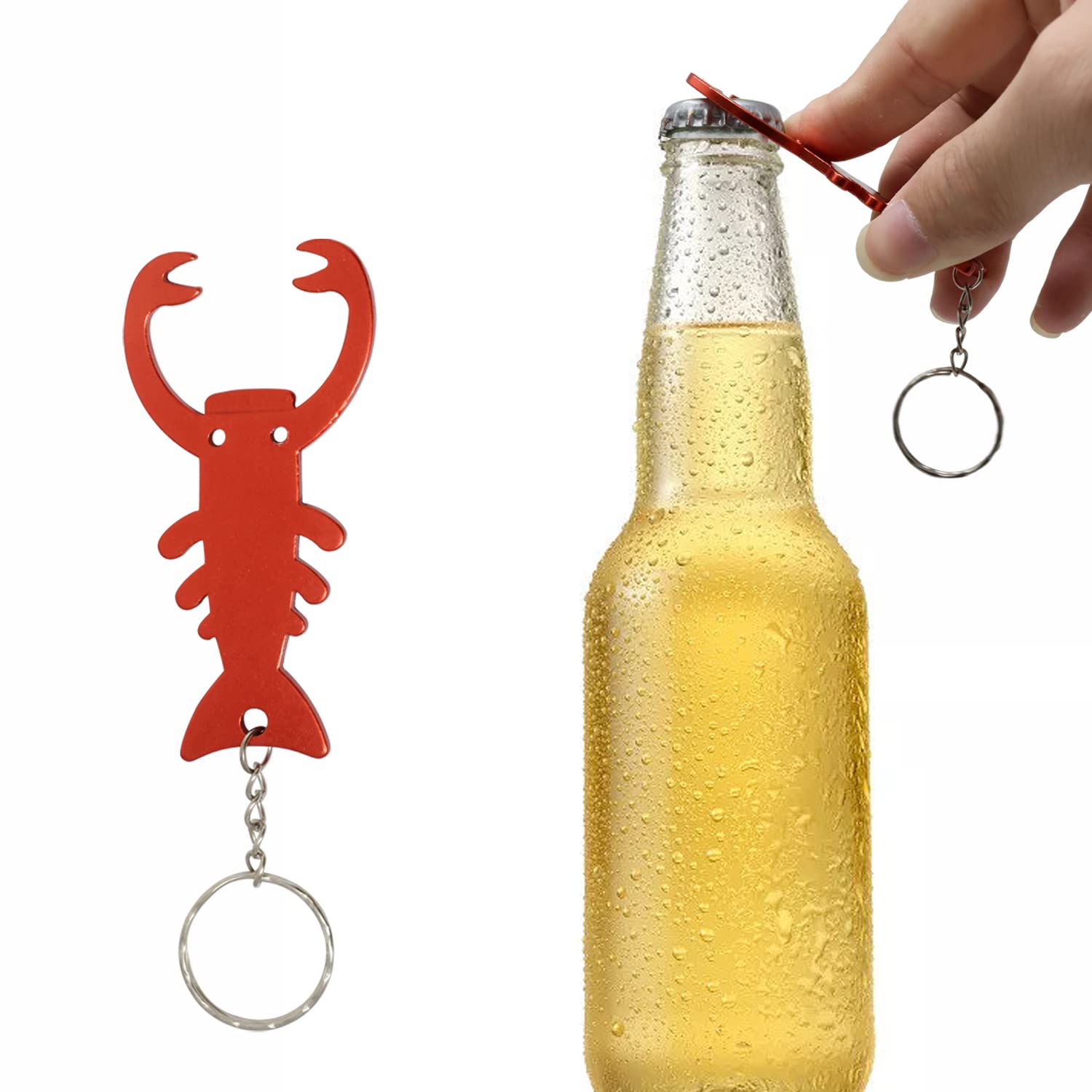 Amazon.com: Honbay 6PCS Lobster Bottle Opener Keychain Aluminum