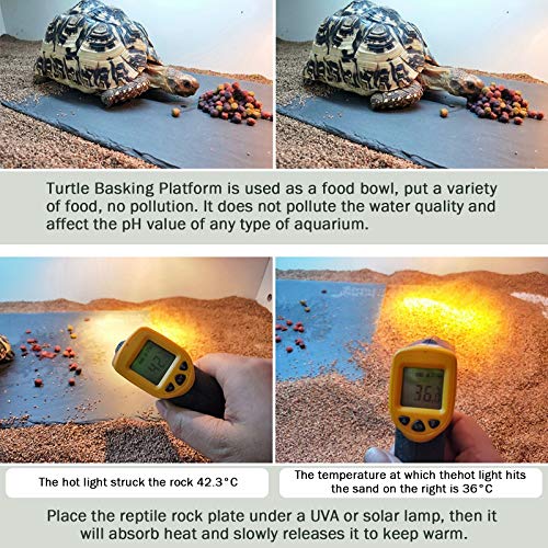 image for dojobkinb 11.8