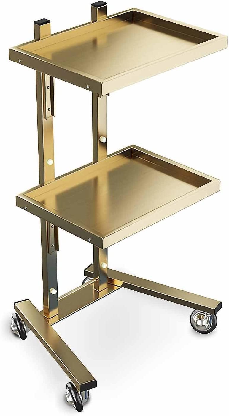 LJYKBFL Utility Cart Organizer Service Cart Salon Beauty Trolley 2 Tier Beauty Trolley Cart, Stainless Steel Salon Hairdressing Beauty Storage Trolley Rolling Cart, for Spa StoraGold