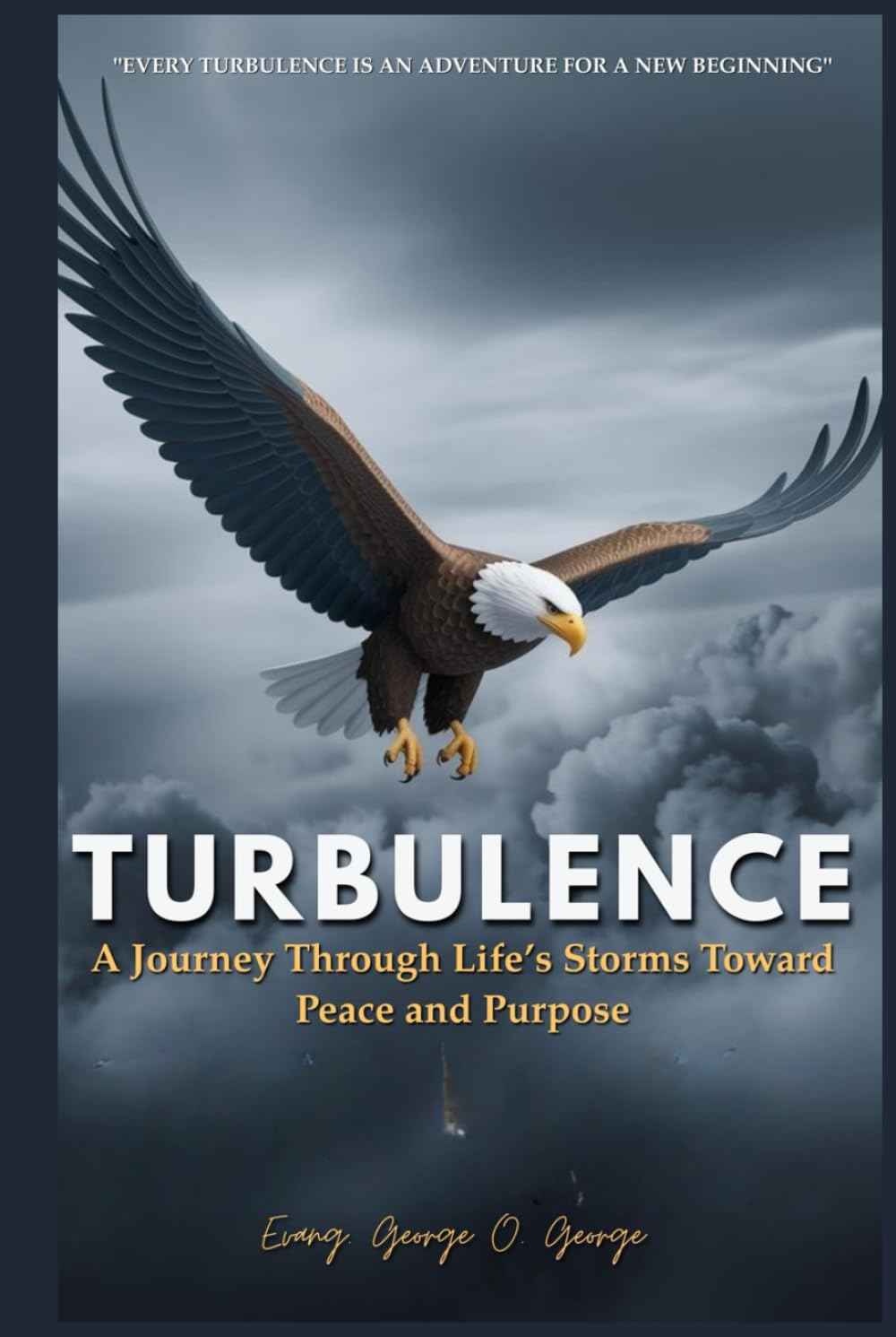 TURBULENCE: A Journey Through Life’s Storms Toward Peace and Purpose