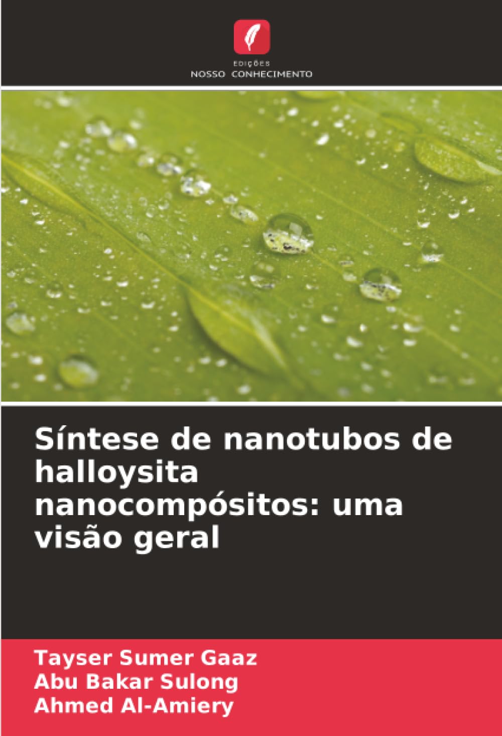 Síntese de nanotubos de halloysita nanocompósitos: uma visão geral