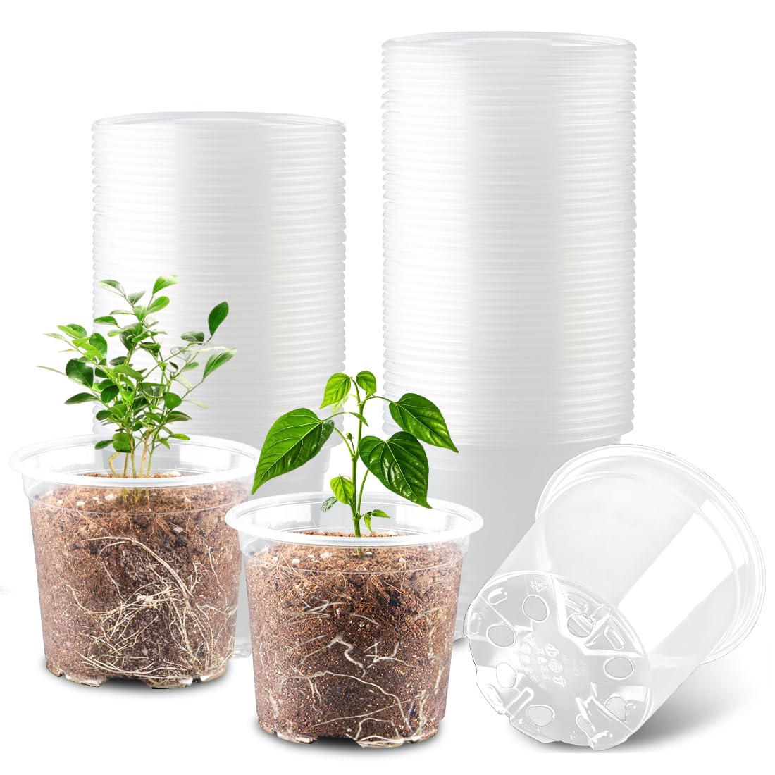 RooTrimmer Clear Pots