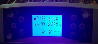 Review Image by mightaswellenjoylife mightaswellenjoylife