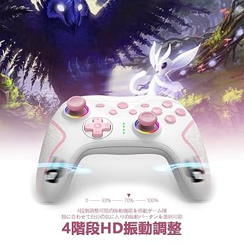 NintendoSwitch　コントローラー付 Nintendo Switch】 ニンテンドー スイッチ コントローラー (有線