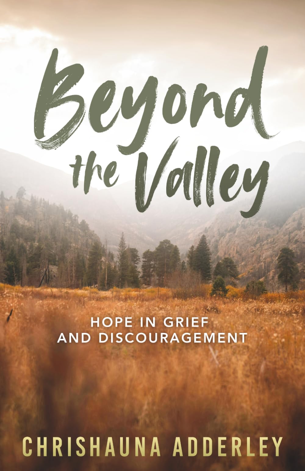 Beyond the Valley: Hope in Grief and Discouragement