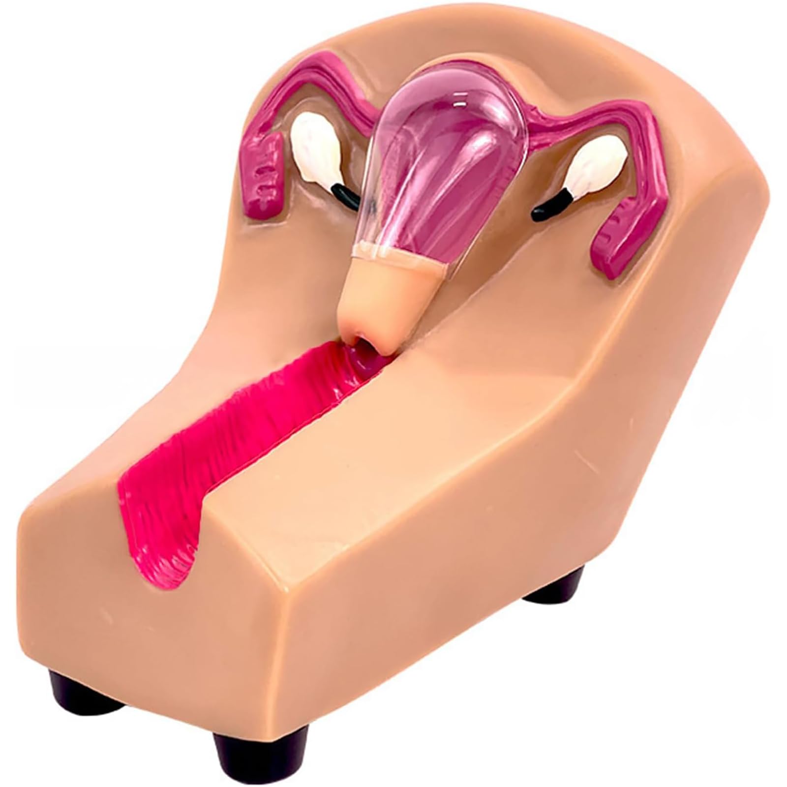 Modello Di Contraccezione E Formazione Intrauterina Femminile, Simulatore IUD, Materiale PVC, Corrispondenza Dei Colori Del Computer È Chiaramente Visibile Per Scuole/ospedali/istituti Di Forma
