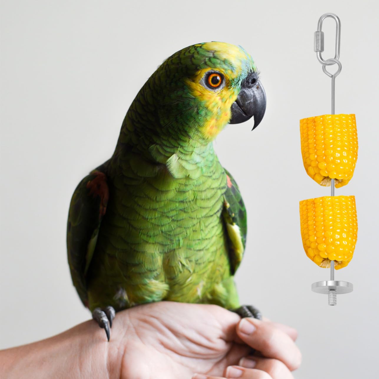 BESPORTBLE 6pezzi Forchette Acciaio Inossidabile Per Frutta e Verdura Per Uccelli Accessori Per Pappagalli e Piccoli Animali Facile Installazione e Utilizzo