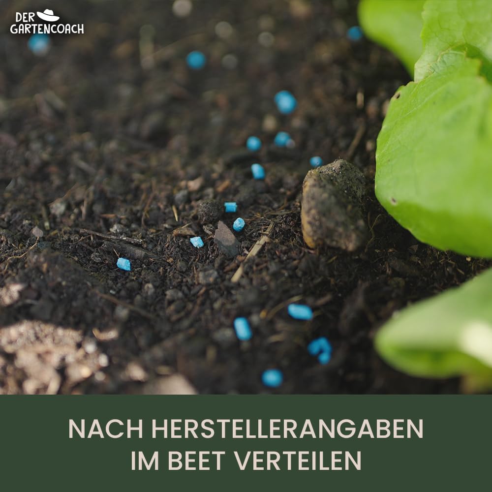 Schneckenkorn NATUR | Hochwirksames & Natürliches Mittel gegen Schnecken | Regenfest & Haustierfreundlich | Ideal für Gemüse- und Kräuterbeete, Ziergärten & Hochbeete (1000 Gramm)