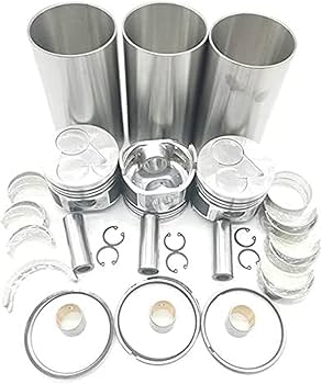 Amazon.com: Overhaul Rebuild Kit Compatible with Kubota D722