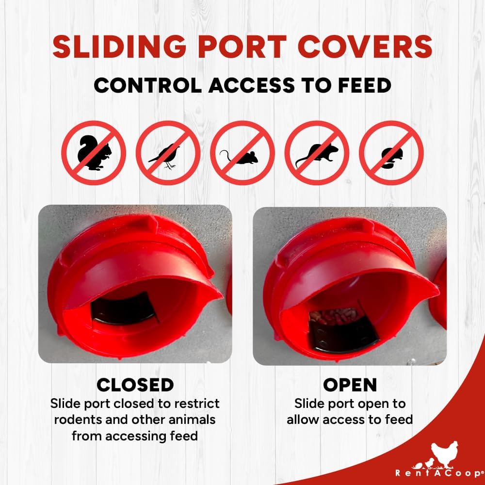 RentACoop Flock Feeder 15 Metal Chick2Chicken Feeder – Space-Saving Weatherproof Poultry Feeder with 6 Ports, Adjustable Legs, Rain Covers for Chicks, Chickens, Quail, Bantams, and Other Small Birds