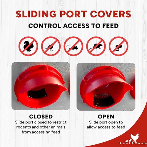 Vista 3 de RentACoop Flock Feeder 15 comedero de metal Chick2Chicken - Alimentador de aves de corral resistente a la intemperie que ahorra espacio con 6