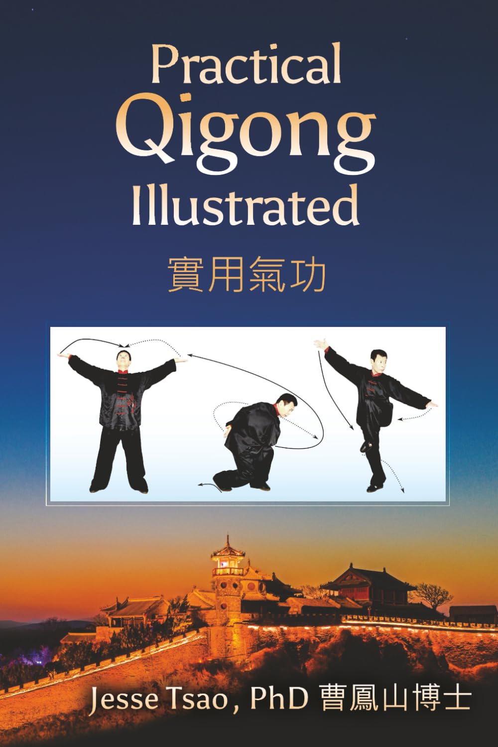 Practical Qigong Illustrated