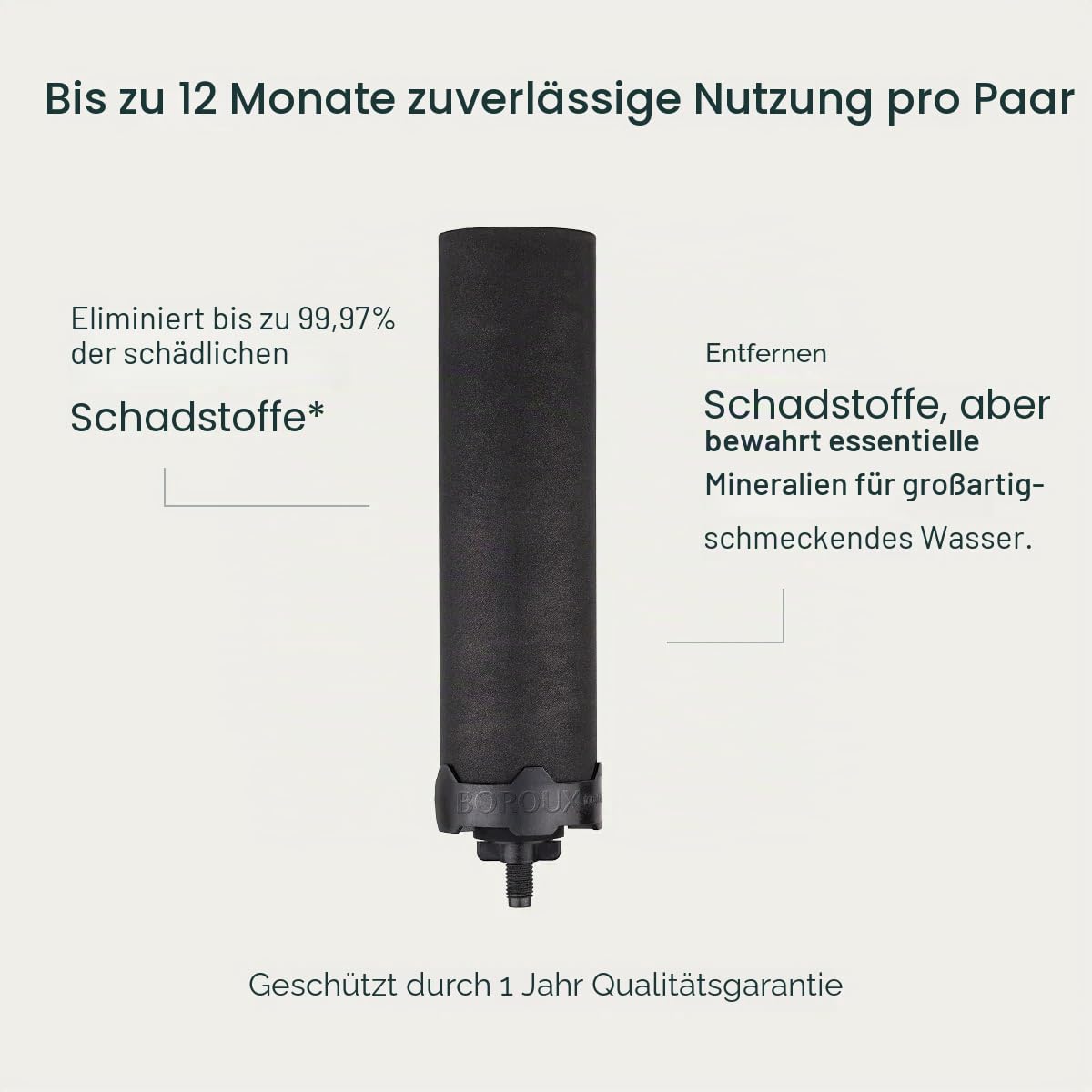 Boroux Foundation Schwarze Wasserfilter für Schwerkraft-Wassersysteme (2er Set)