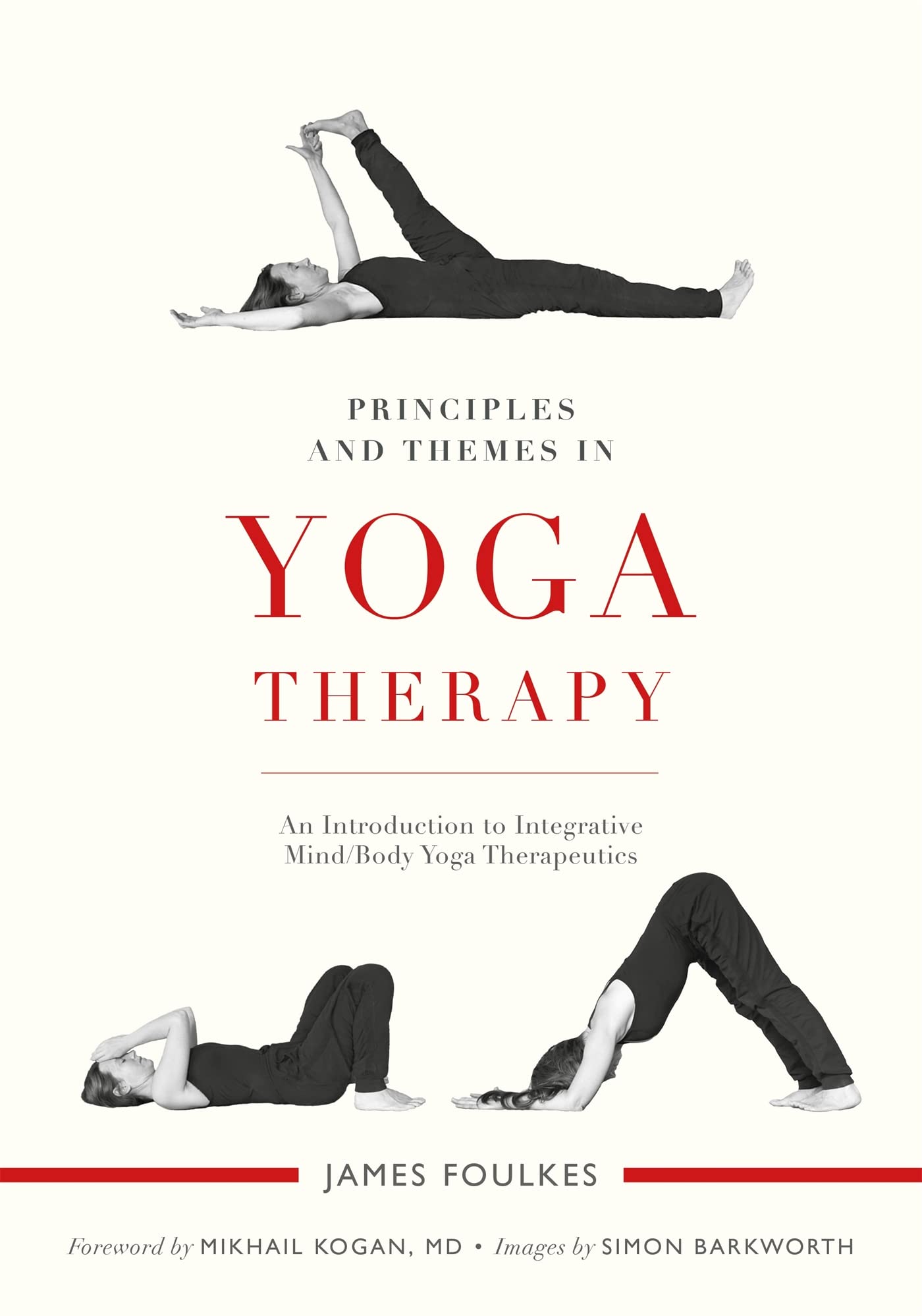 Principles and Themes in Yoga Therapy: An Introduction to Integrative Mind/Body Yoga Therapeutics