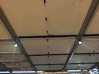 Review Image by Nick Nick