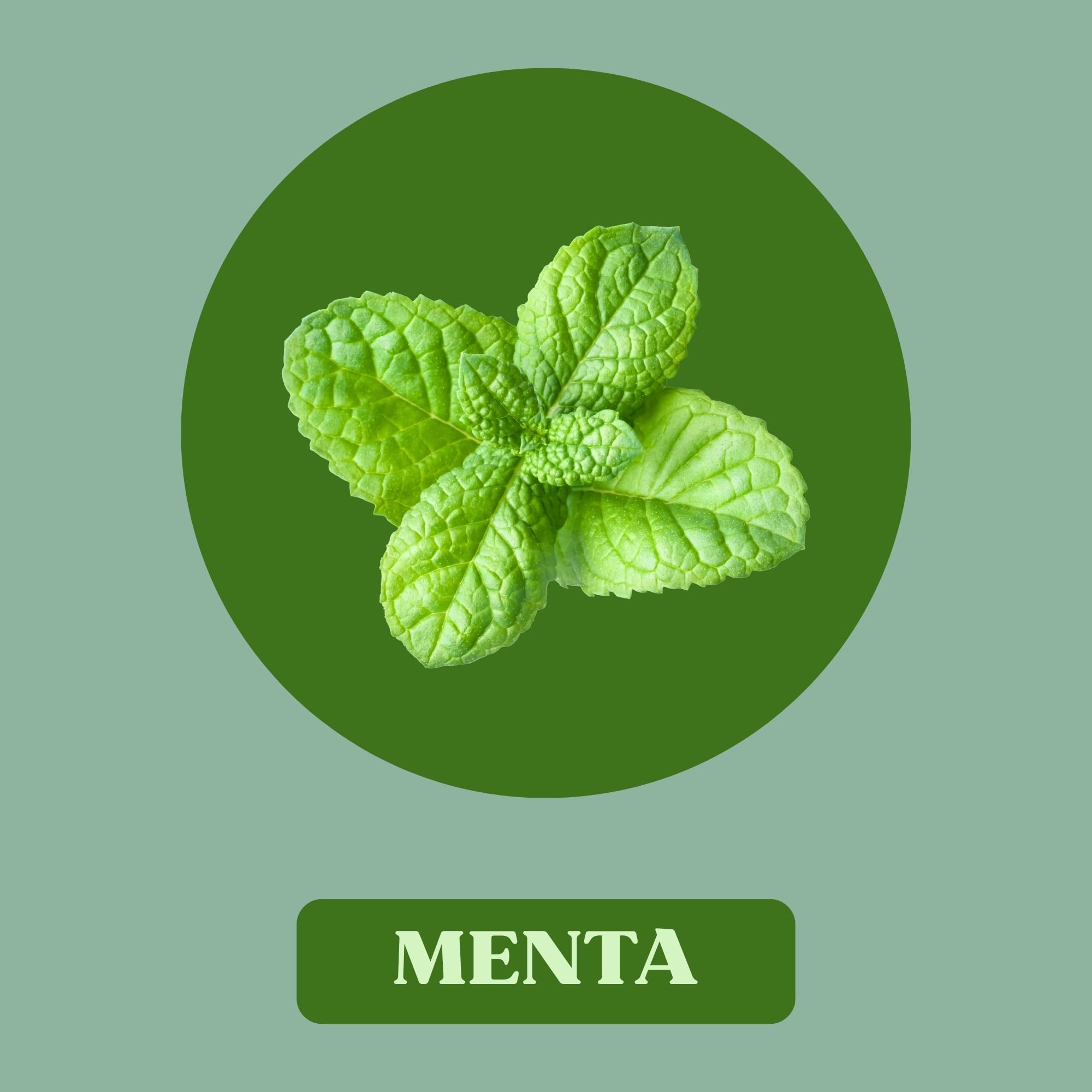 Juanola Perlas Sabor Menta - Sin azúcar, sin gluten - Cómodo formato de bolsillo - Ideal para llevar contigo a todas partes - Refrescan tu boca y tu garganta - 25g