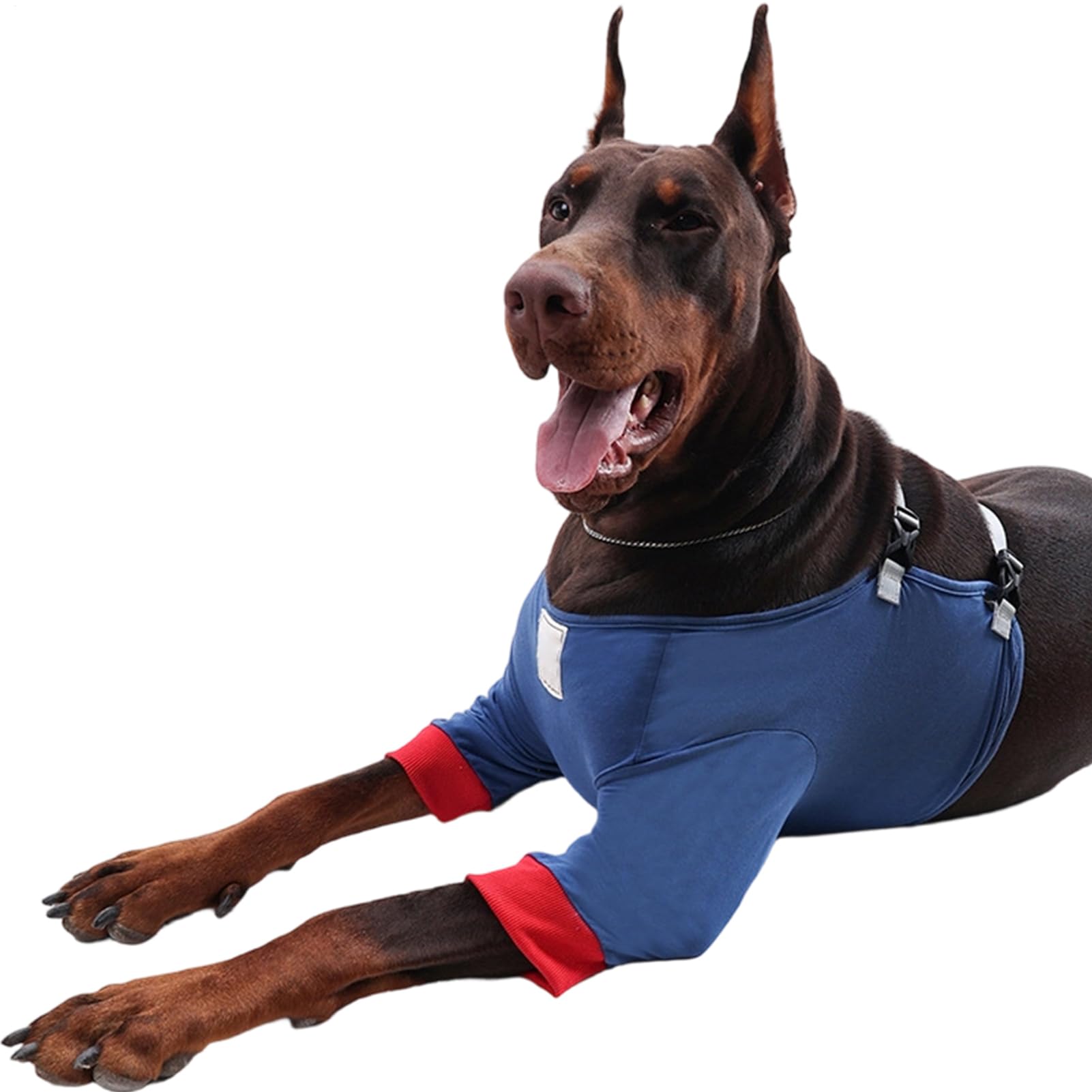 Coussinets pour chiens réglables en coton lavable Genérico