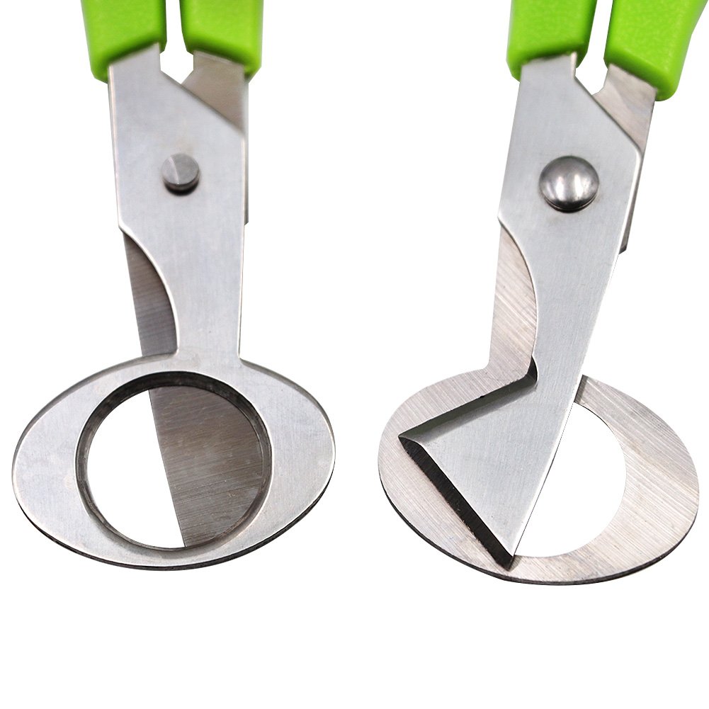 Forbici per uova di quaglia, in acciaio inox, taglia uova di quaglia e piccione, strumento per tagliare uova di quaglia, per cucina domestica (blu