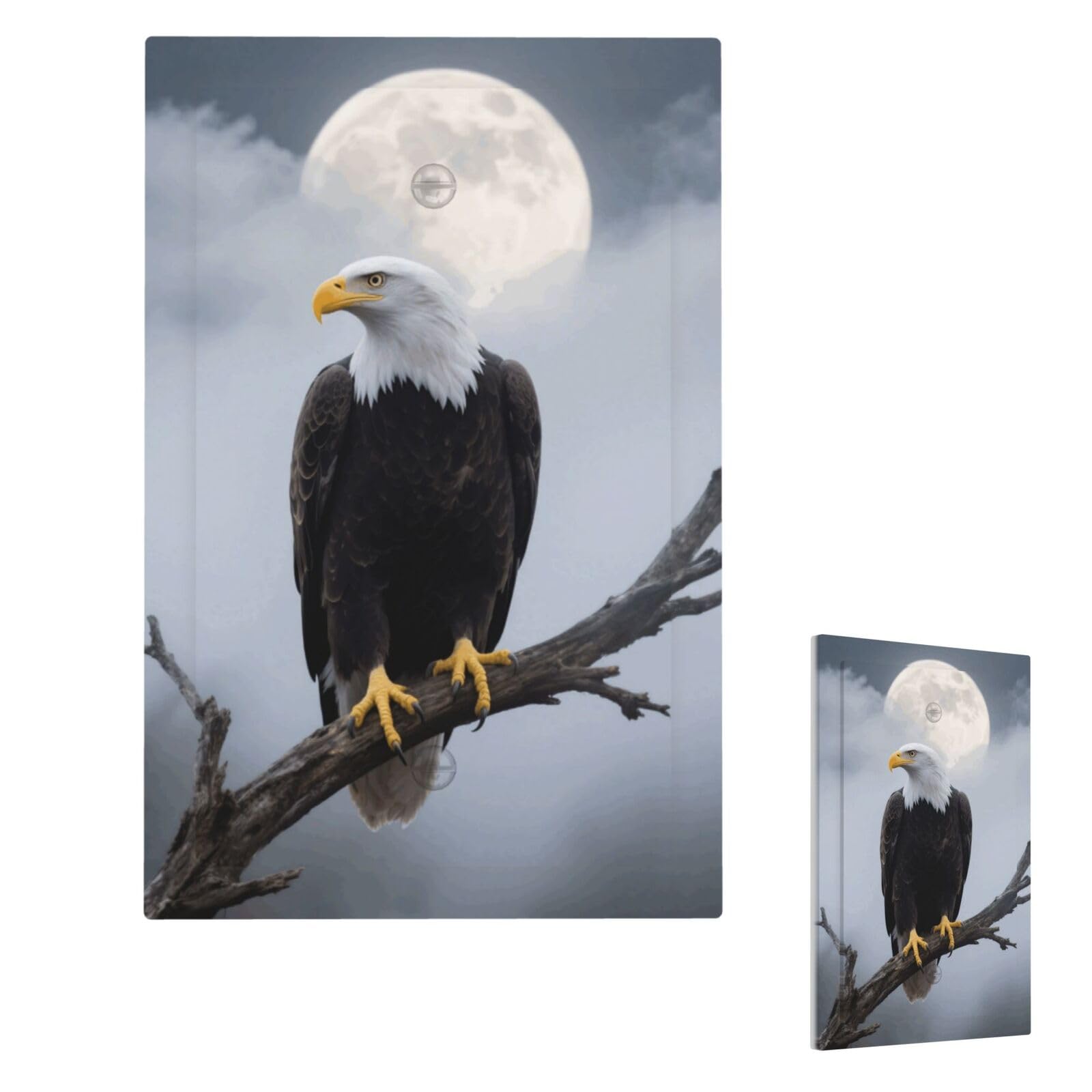 Fekiloot Single Blank Eagle Full Moon Wall Plate Cover Modern Decorative 1 Gang Light Switch Cover Unbreakable Receptacle Outlet Covers For Living Room Bedroom Home Decor