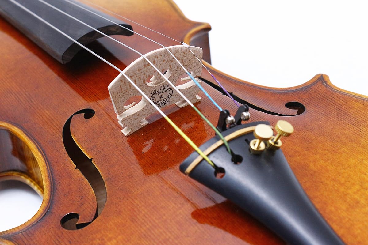 Violino professionale 4/4 full size in legno d'acero fiammato con top in abete rosso e accessori in ebano, kit violino realizzato a mano con custodia e archetto (VA-Violin-WX-E)
