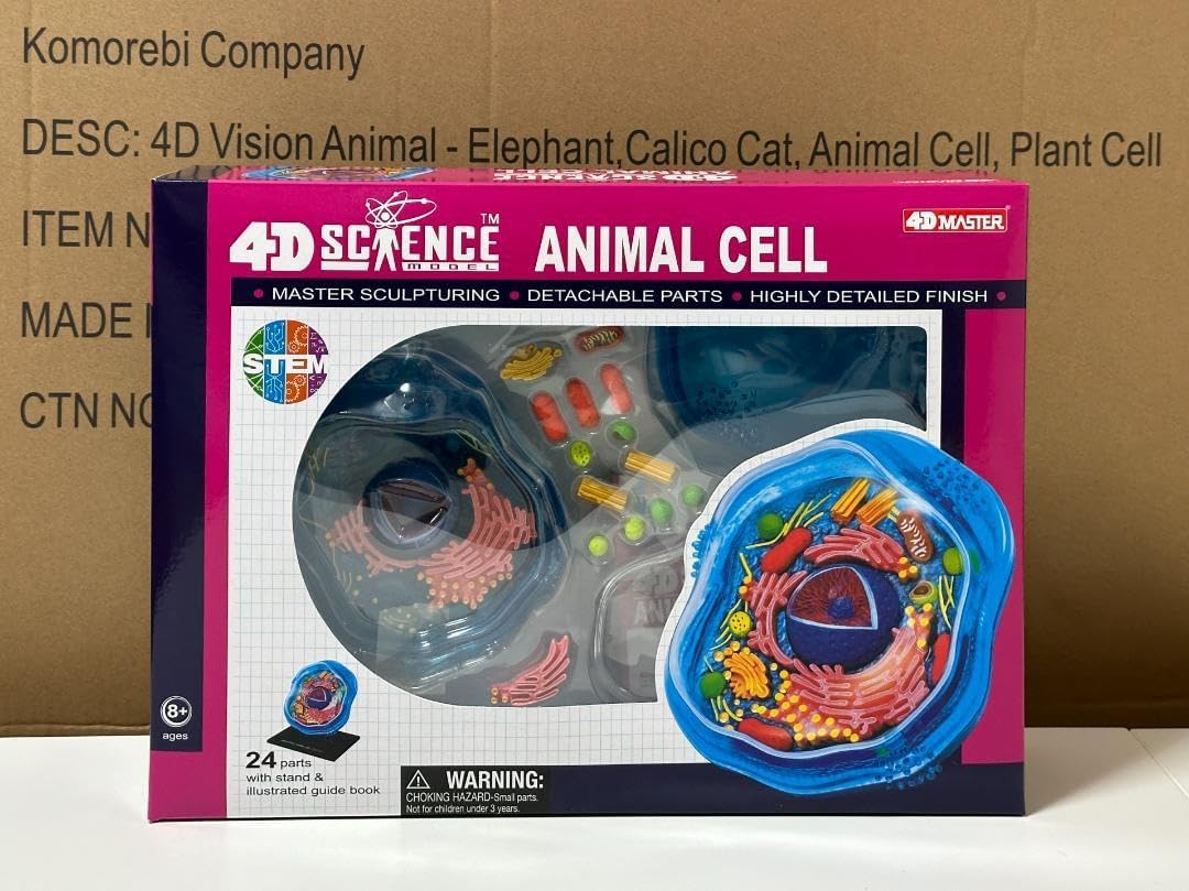 4D立体パズル 動物細胞モデル Animal Cell model 4d パズル 動物