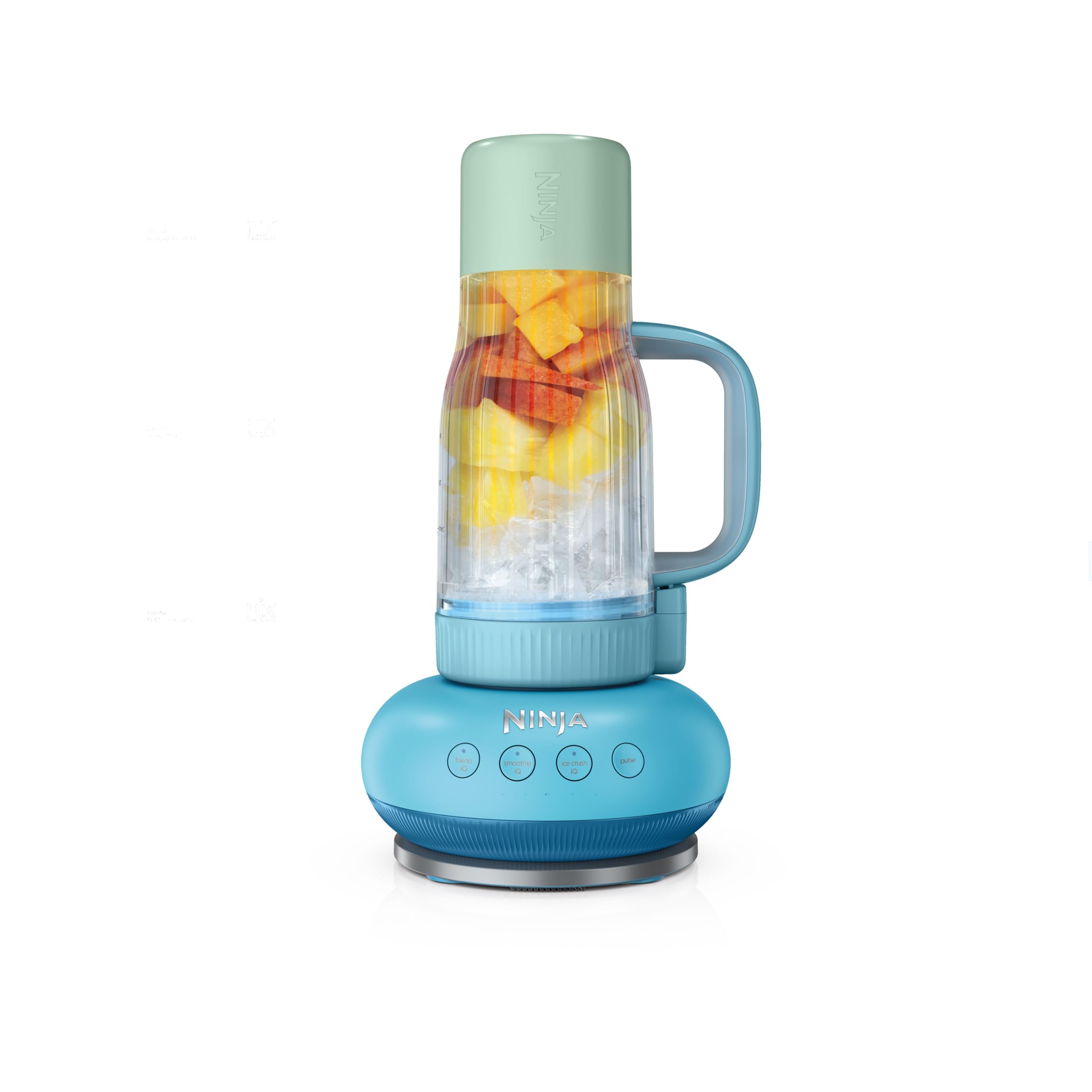 Ninja BlendBOSS | Personal Smoothie Blender and Tumbler | 26oz