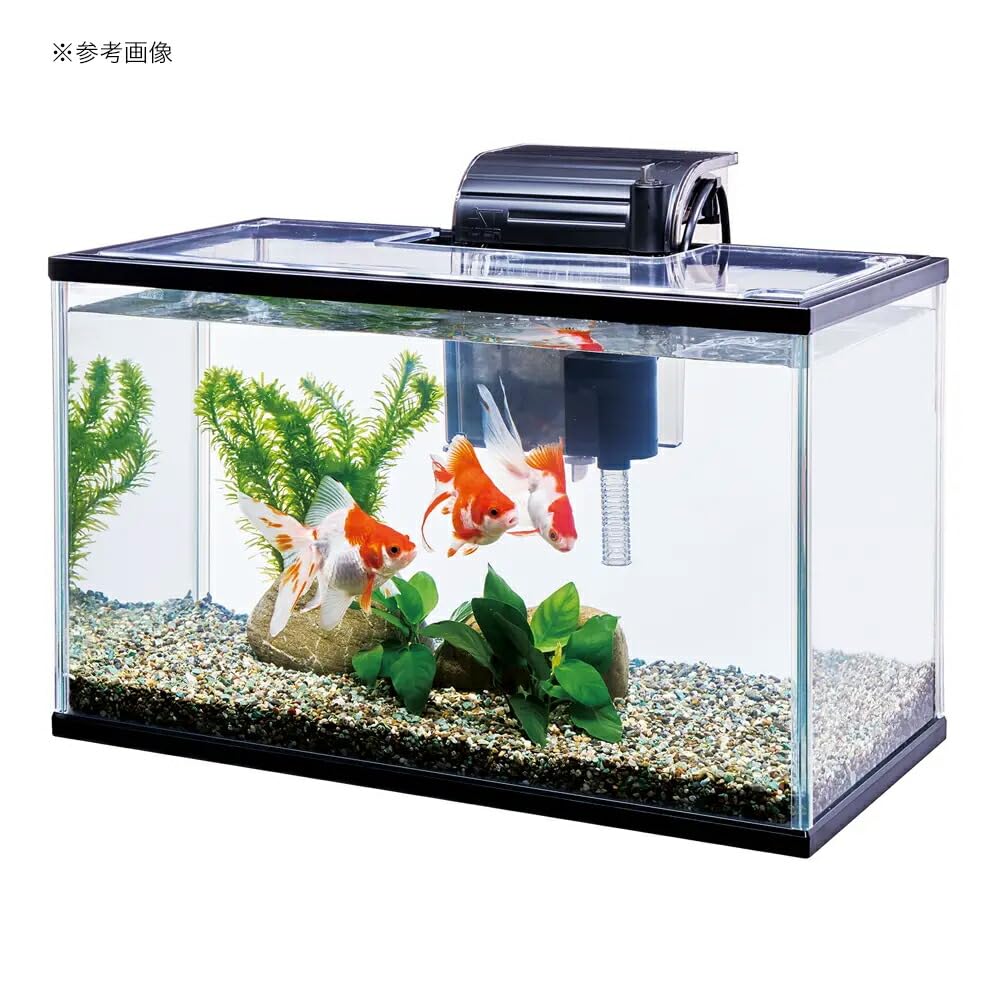 600x450x300ｍｍワイドフラットタイプ水槽 600x450x300mmワイドフラットタイプ水槽 公式決定版！アクロ