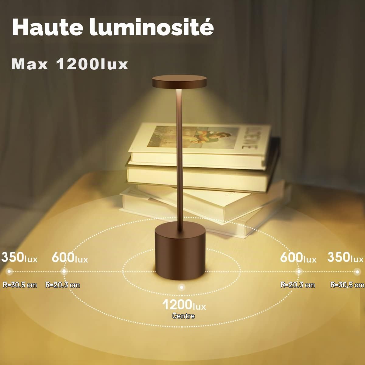 Hapfish Lampe de table sans fil rechargeable, 5000mAh bureau LED en métal