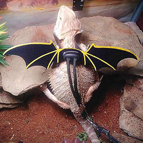 Hagedis riem met vleugels,Verstelbare hagedis tractie touw verstelbare baard draak hagedis harnas - Image 4