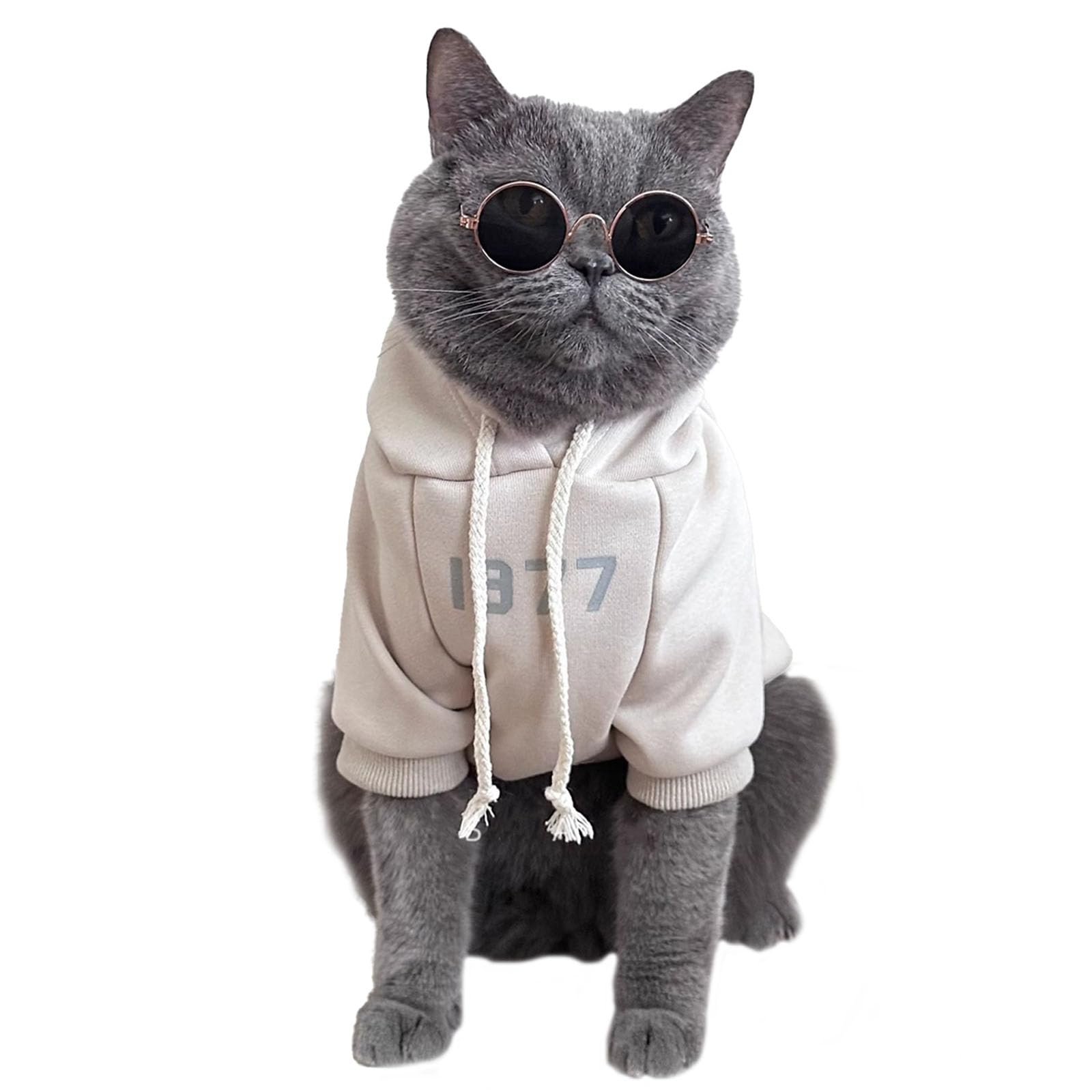 KASESSS Cat Clothes, Cat Coat, Cats Winter Outfit, Warm Kitten Clothes Hoodie, Cats Onesie with Thin Layer of Fleece, Cotton Padded Sweatshirt Long Sleeve, Cold Dress Skin Protection, Apricot, M