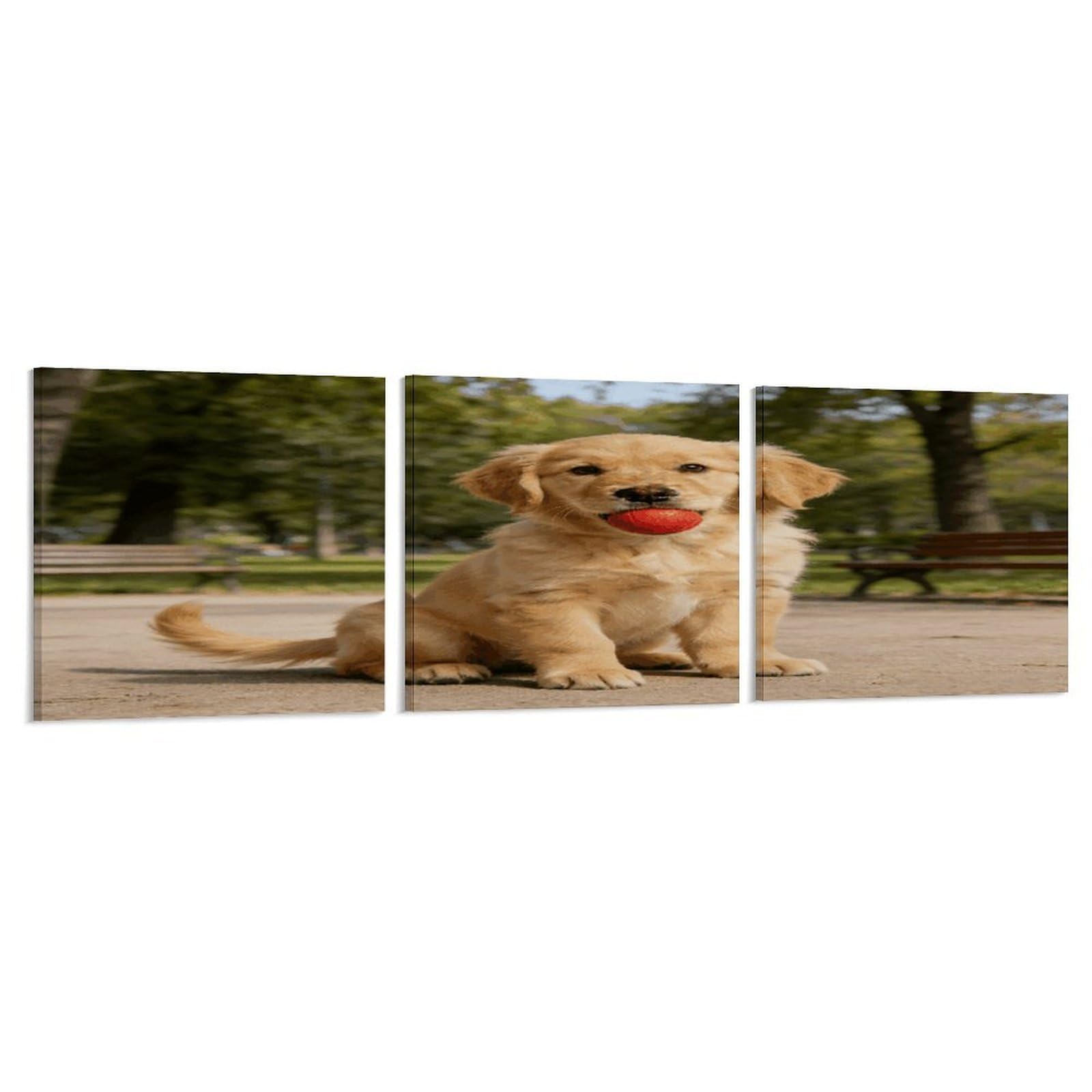 Khauerbc Style Set Of 3 Cute Golden Retriever Wall Art，Paintings Artwork For Living Room, Hallway, Bedroom, Office Wall Decor For Living Room, Hallway, Bedroom, Office Paintings Artwork 8X8 Inch